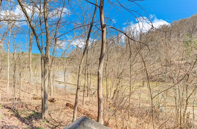 8087 2nd Drive SW, Bowerston, OH 44695