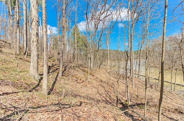 8087 2nd Drive SW, Bowerston, OH 44695