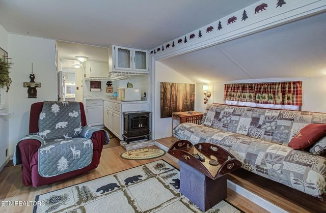 1019 Kildee St, Townsend, TN 37882