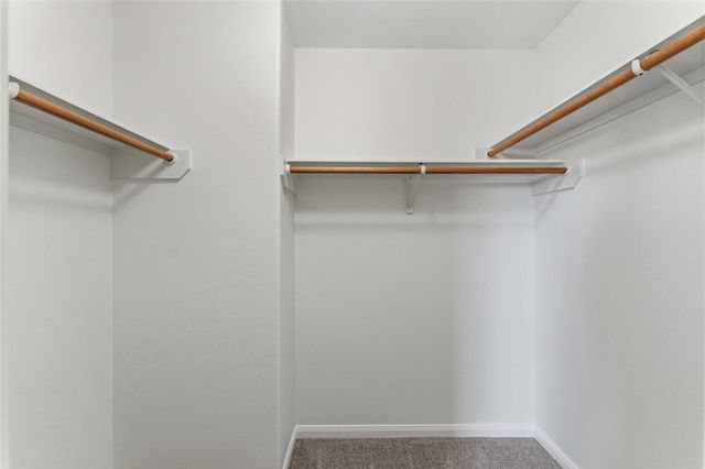 6803 Nectarine Lane, Richmond, TX 77469