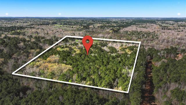 4997 Hwy 49, Avinger, TX 75630