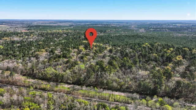 4997 Hwy 49, Avinger, TX 75630