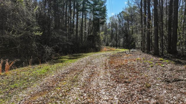 4997 Hwy 49, Avinger, TX 75630