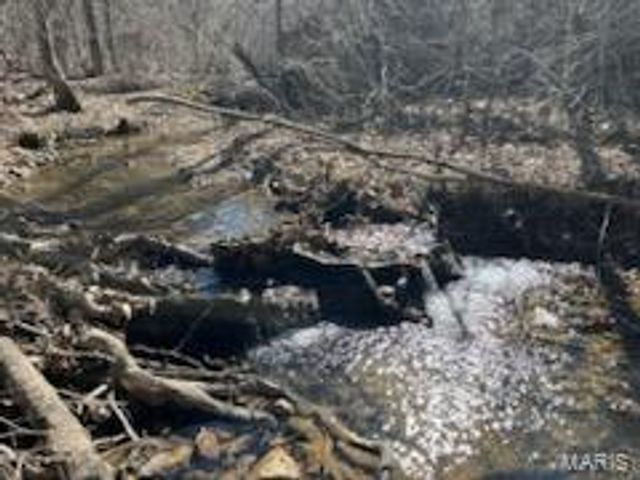 0000 Madison Wayne 9305 Marquand, Cascade, MO 63655