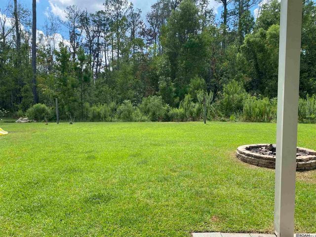 13638 Cantebury Ave, Denham Springs, LA 70726