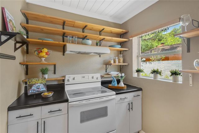 1315 E OSBORNE AVENUE, Tampa, FL 33603