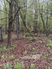 Lot 2 Christopher Lane, South Haven, MI 49090