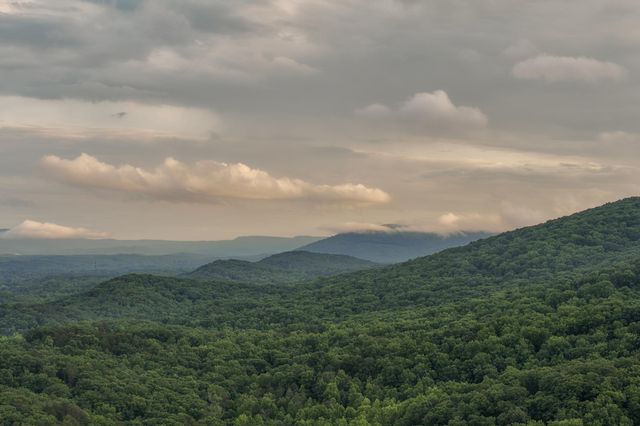 32 Lantern Cove Road, Chickamauga, GA 30707