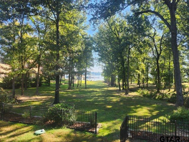 411 Sterling Shores Dr, Scroggins, TX 75480