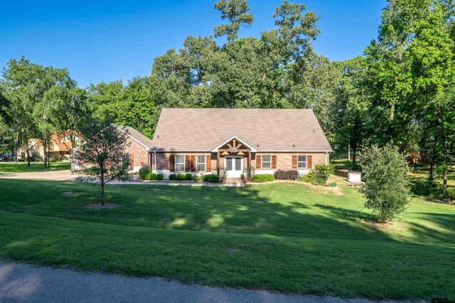 411 Sterling Shores Dr, Scroggins, TX 75480