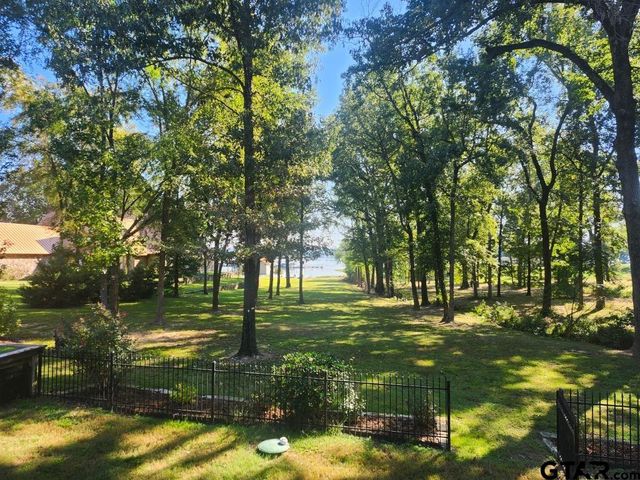 411 Sterling Shores Dr, Scroggins, TX 75480