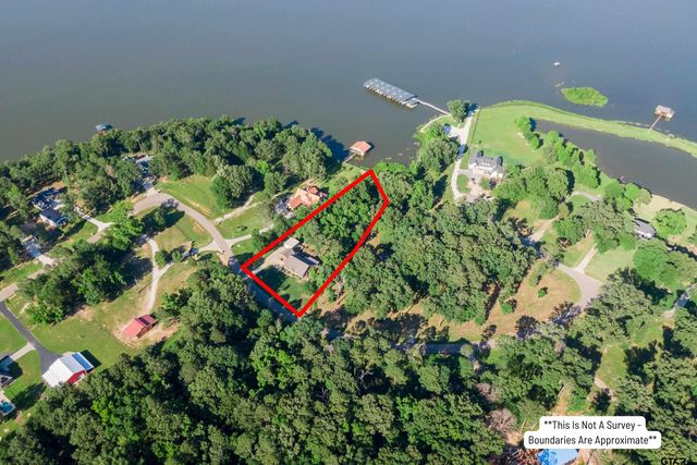 411 Sterling Shores Dr, Scroggins, TX 75480