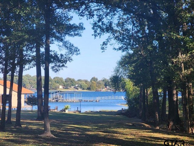 411 Sterling Shores Dr, Scroggins, TX 75480