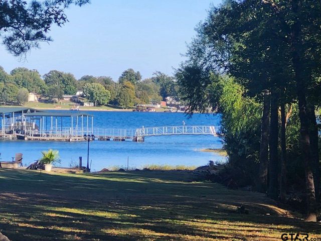 411 Sterling Shores Dr, Scroggins, TX 75480