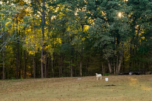 838 Old West Point Rd, Smithville, TN 37166