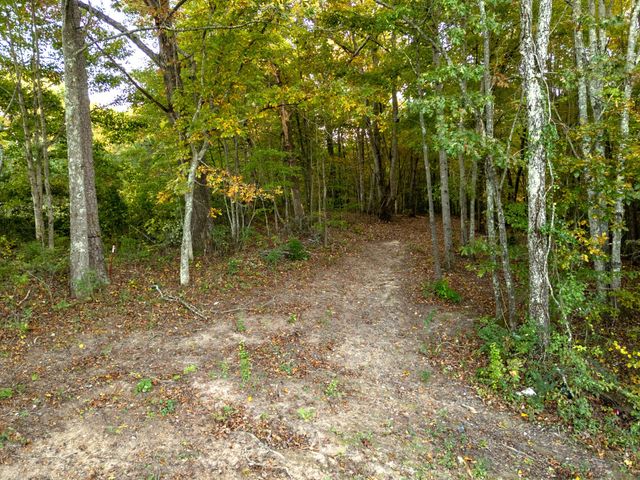 838 Old West Point Rd, Smithville, TN 37166