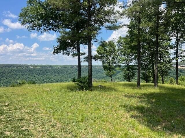 615 Cumberland Cir # 159, Jasper, TN 37347