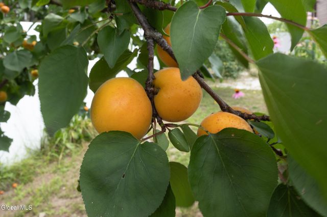 55 Alpine Drive, Colonie, NY 12110