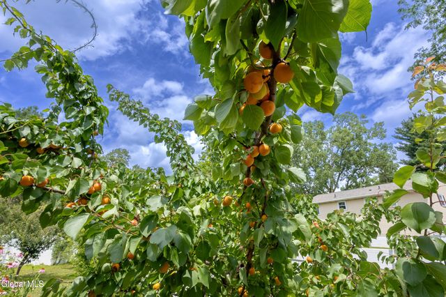 55 Alpine Drive, Colonie, NY 12110