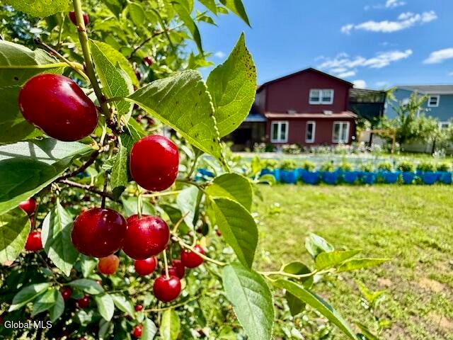 55 Alpine Drive, Colonie, NY 12110