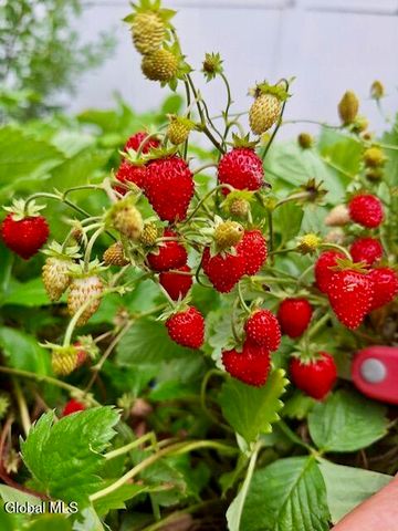 55 Alpine Drive, Colonie, NY 12110