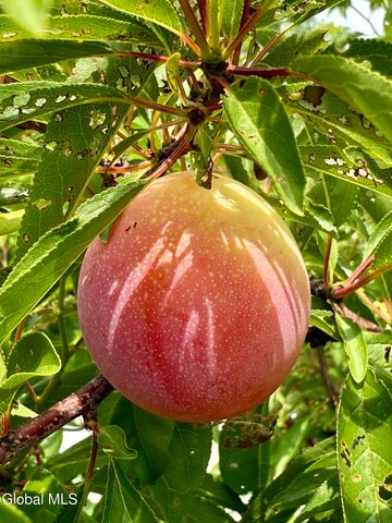 55 Alpine Drive, Colonie, NY 12110