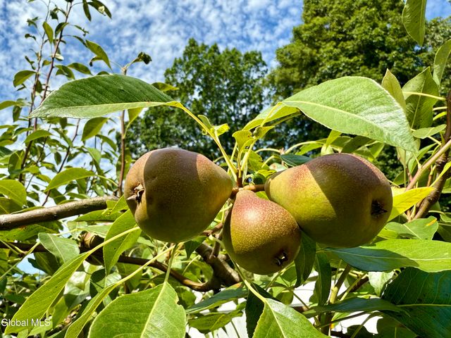 55 Alpine Drive, Colonie, NY 12110