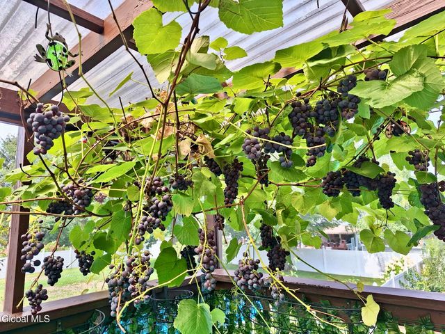 55 Alpine Drive, Colonie, NY 12110