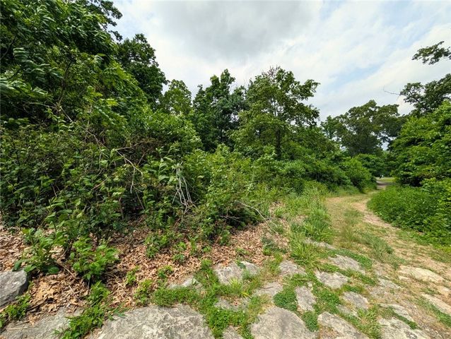 TBD Peck Road, Pea Ridge, AR 72751