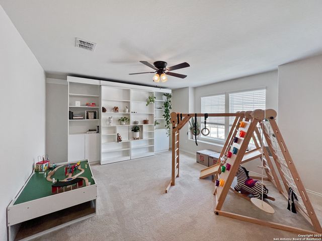 428 Holly Bush, New Braunfels, TX 78130