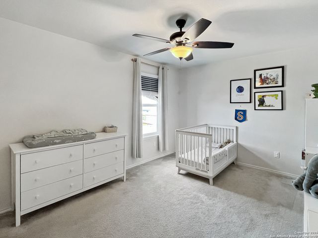 428 Holly Bush, New Braunfels, TX 78130