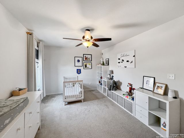 428 Holly Bush, New Braunfels, TX 78130