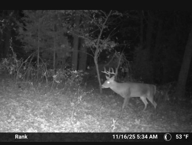 840 Miller Road, Ola, AR 72853