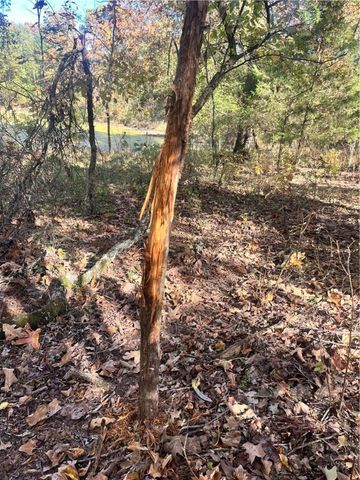 840 Miller Road, Ola, AR 72853