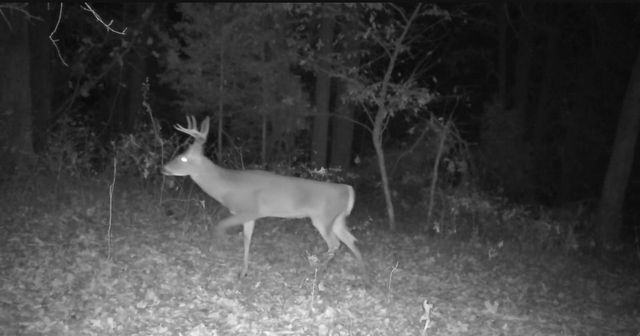 840 Miller Road, Ola, AR 72853