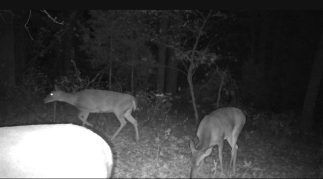 840 Miller Road, Ola, AR 72853