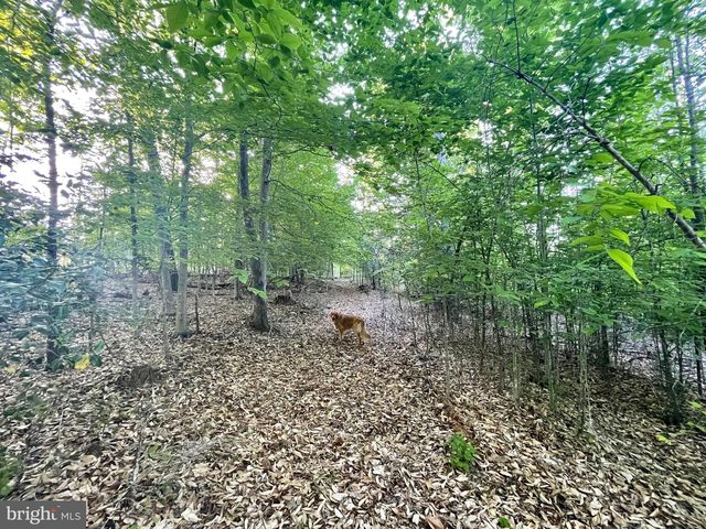 LOT 3 DEER MOUNTAIN RD, Fredericksburg, VA 22407
