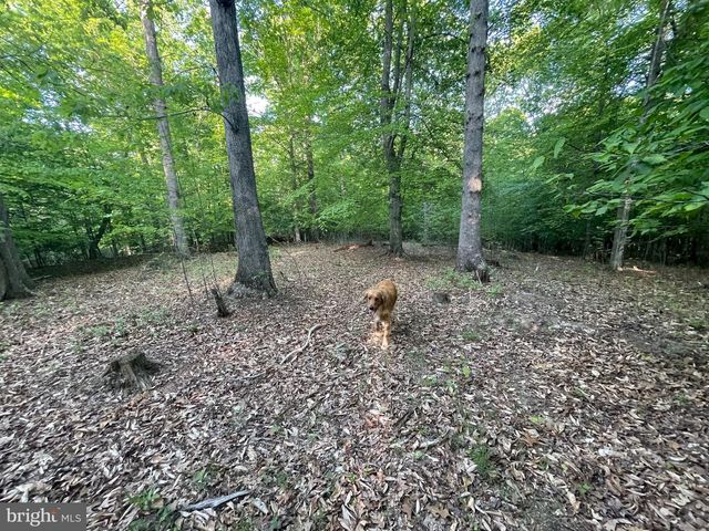 LOT 3 DEER MOUNTAIN RD, Fredericksburg, VA 22407