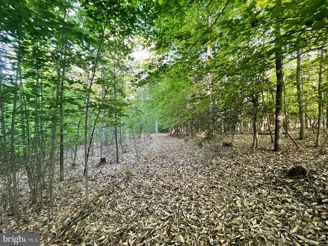 LOT 3 DEER MOUNTAIN RD, Fredericksburg, VA 22407