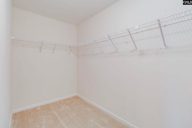 320 Ostrich Circle, Columbia, SC 29229