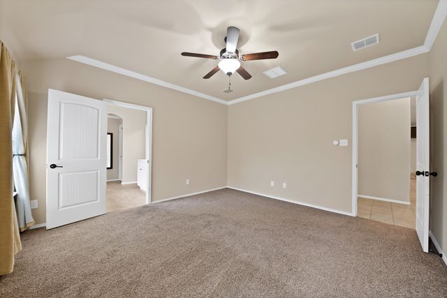 11713 Cape Cod Springs Drive, Frisco, TX 75036