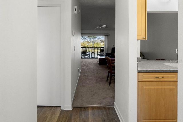 1438 MILLSTREAM LANE 203, Dunedin, FL 34698