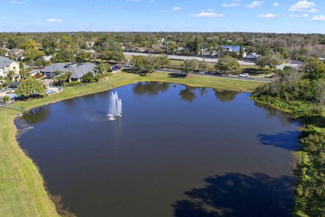 1438 MILLSTREAM LANE 203, Dunedin, FL 34698