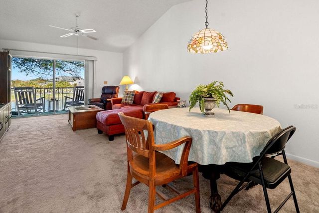 1438 MILLSTREAM LANE 203, Dunedin, FL 34698