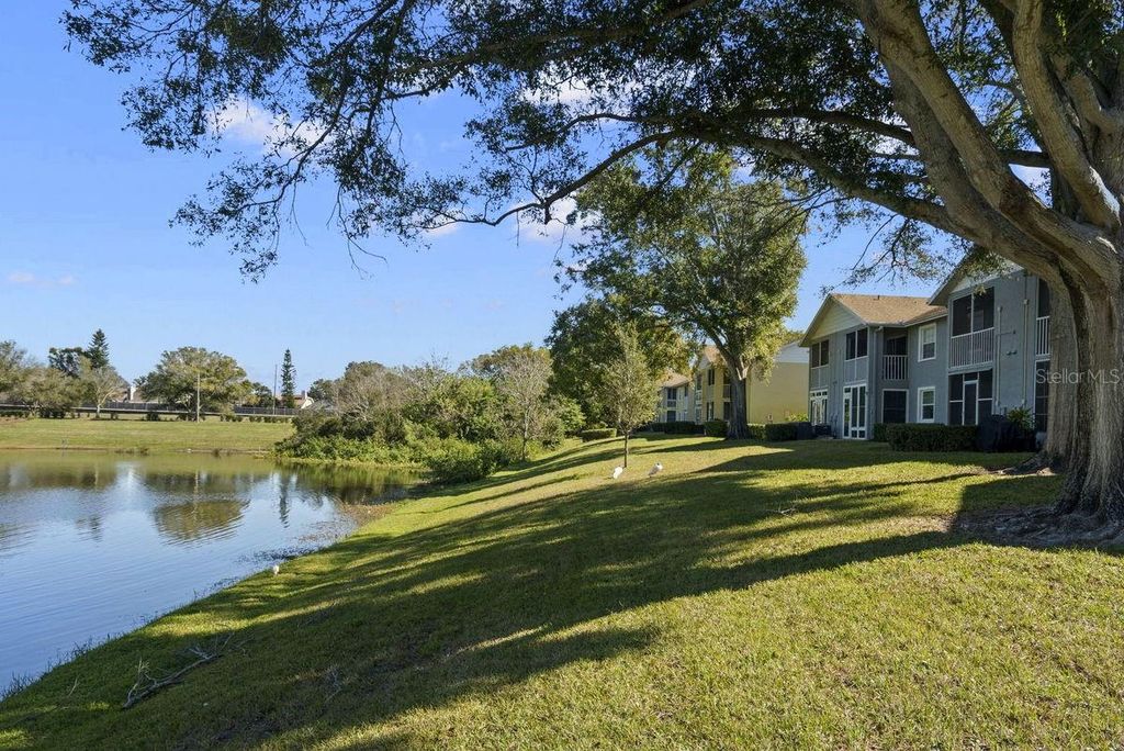 Image 34 of property listing at 1438 MILLSTREAM LANE 203, Dunedin, FL 34698