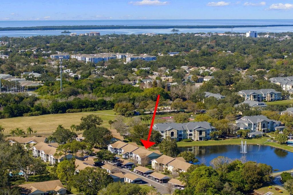 Image 36 of property listing at 1438 MILLSTREAM LANE 203, Dunedin, FL 34698