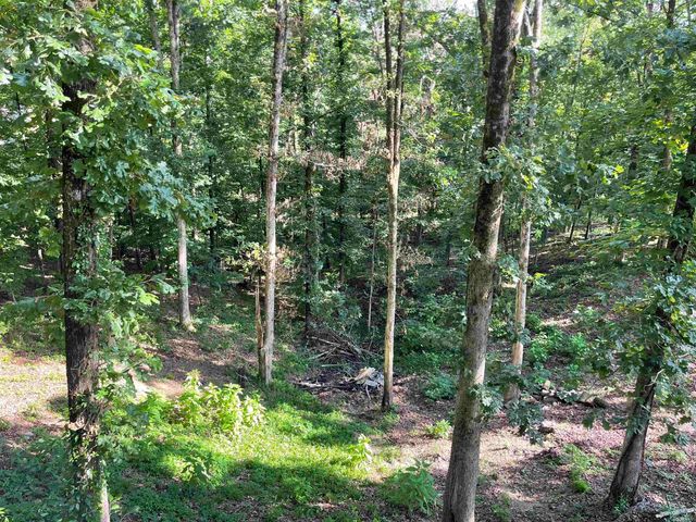 4317 southland Lane, Benton, AR 72019
