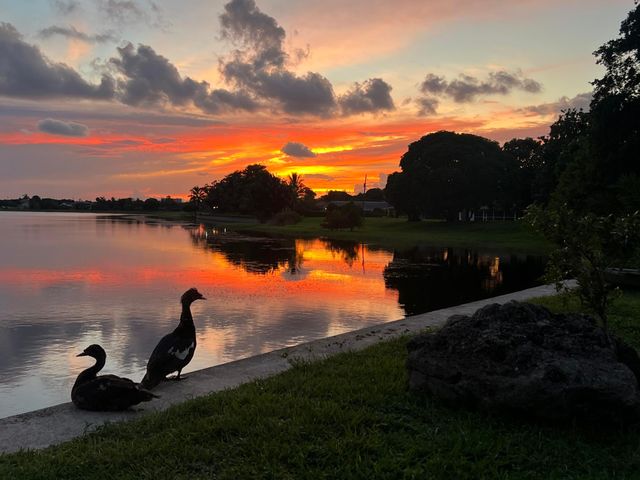 1538 39th Street, West Palm Beach, FL 33407