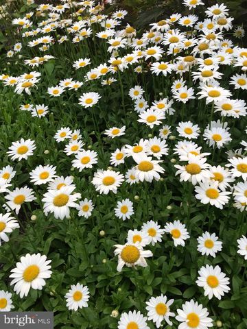 152 WOODBINE RD, Havertown, PA 19083