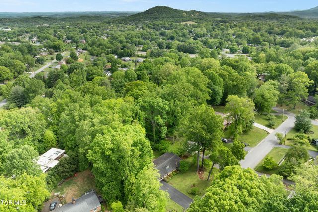 1305 Sherwood Drive, Johnson City, TN 37601